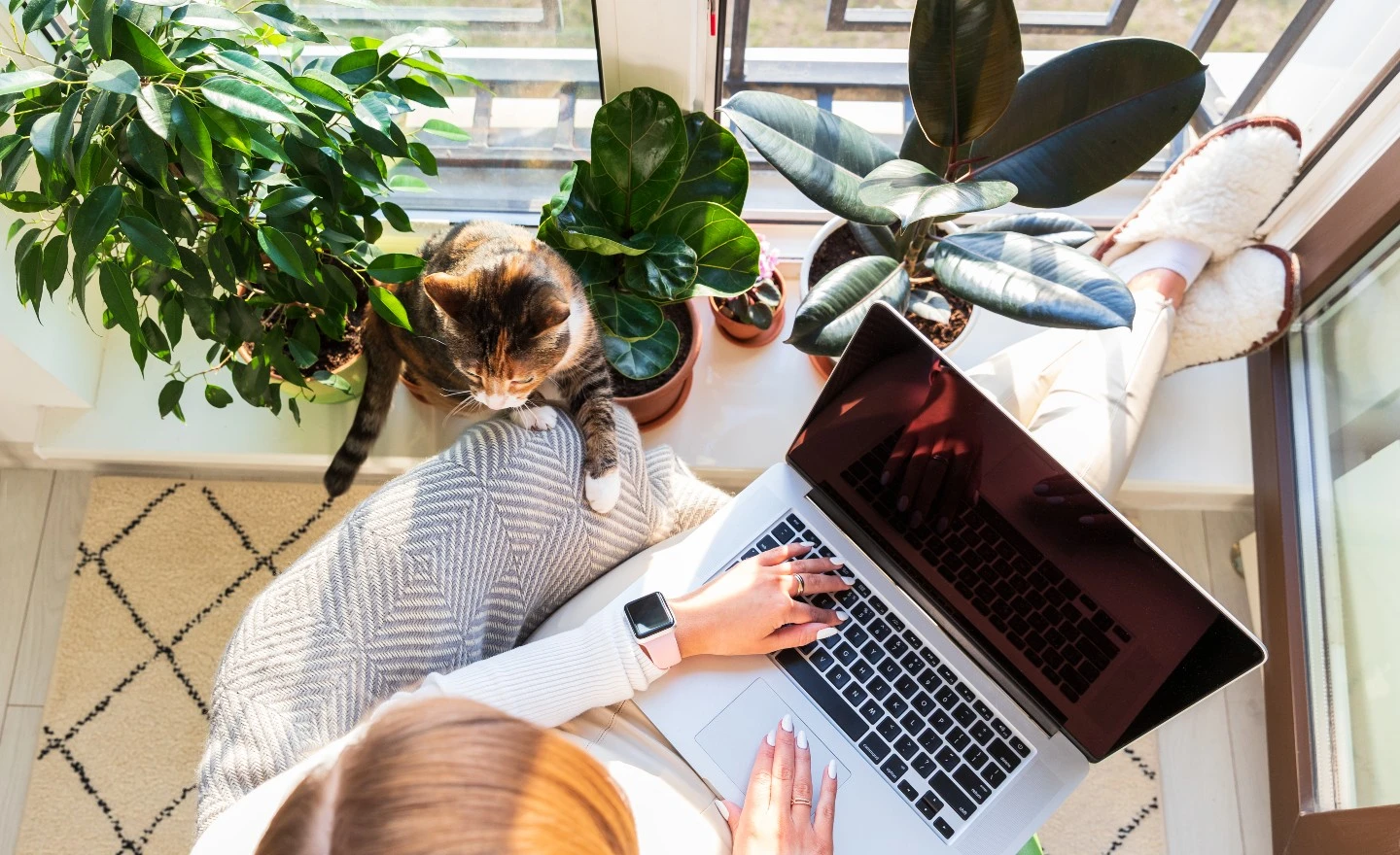Wayfair Entry Level Remote Jobs
