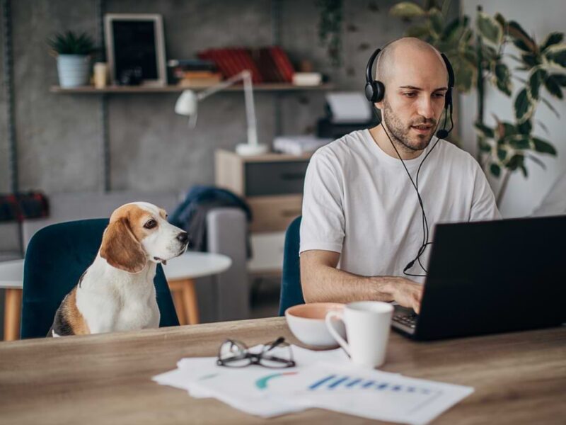 Wayfair Customer Support Remote Jobs