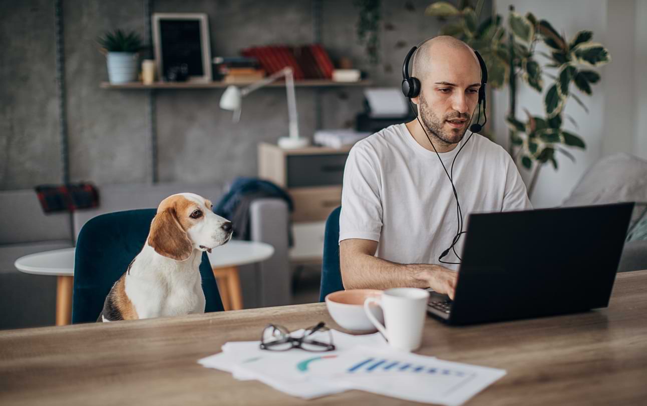 Wayfair Customer Support Remote Jobs