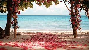 Best honeymoon destinations? 